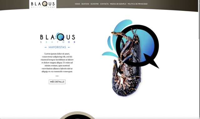 Sitio web para productora de marisco Blaqus Group