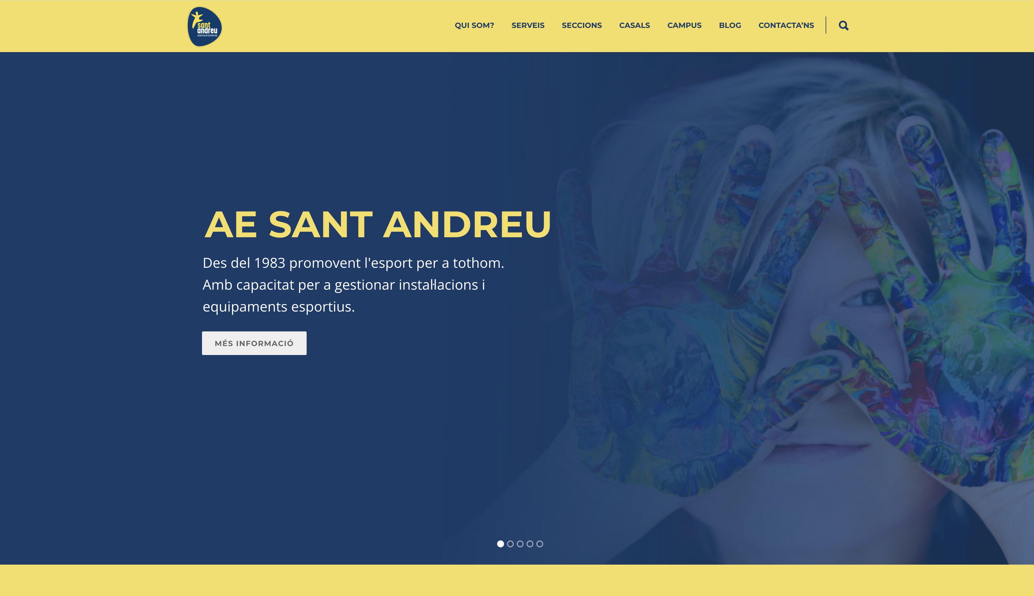 Proyecto web para una asociación deportiva del barrio de Sant Andreu en Barcelona - Web de la Associació Esportiva Dte. IX Sant Andreu