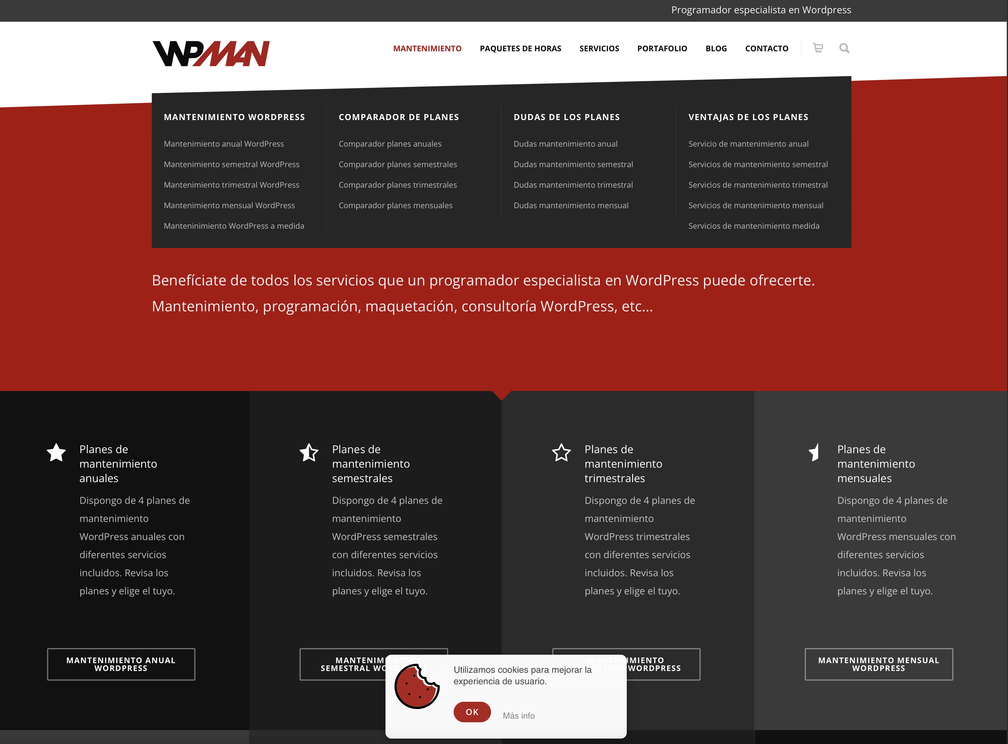 Programador especializado en mantenimiento de WordPress y desarrollo a medida - Ecommmerce de Wpman.es